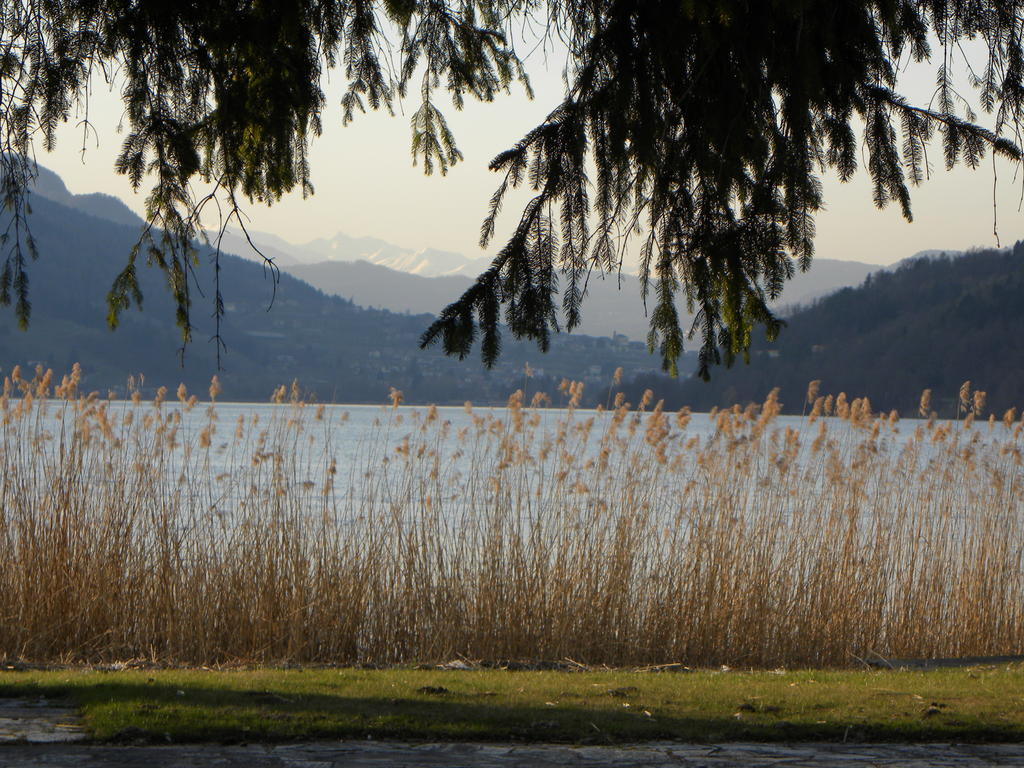 Casa De Val Lägenhet Calceranica al Lago Exteriör bild